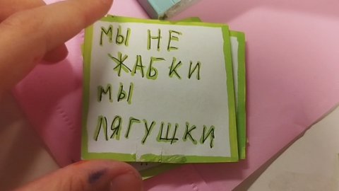 НОВИНКА ЖАБКИ🐝