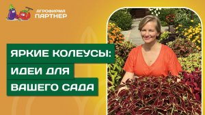 КОЛЕУСЫ: ЭФФЕКТНЫЙ АКЦЕНТ ДЛЯ ЛЮБОГО ЦВЕТНИКА!