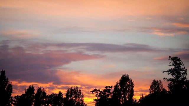 concern of world by Calvin Coolidge | Business Motivation | Business Tips смотреть онлайн