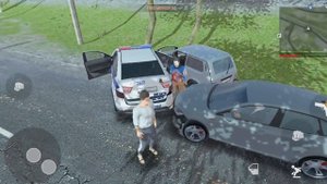 я стал полицейским на 24 часа в мадаут2