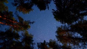 Хочешь, достану звезду?