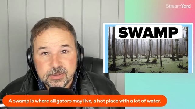 English Lesson: The Many Meanings of Swamp 🐊 смотреть онлайн