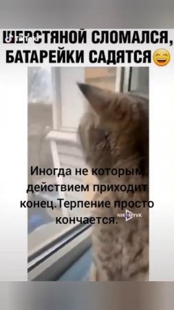 Позволь себе поверить в чудеса, и они непременно придут в твою жизнь.
Елена Митрофанова