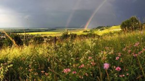 Туган як. 2. «Туган җирем, туган туфрагым»