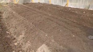 Культиватор глохнет под нагрузкой