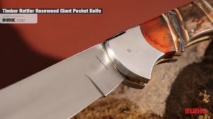Timber Rattler Rosewood Scarab Back Giant Folding Pocket Knife