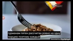 purina gourmet гурмэ реклама 2018