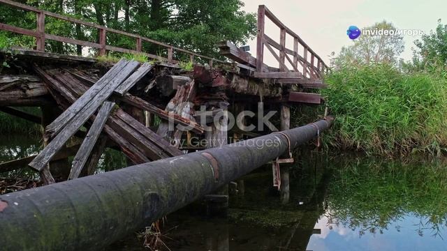 Сказка о трёх братьях смотреть онлайн