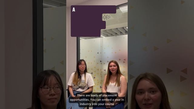 Everything you need to know about the School of Business and Society смотреть онлайн