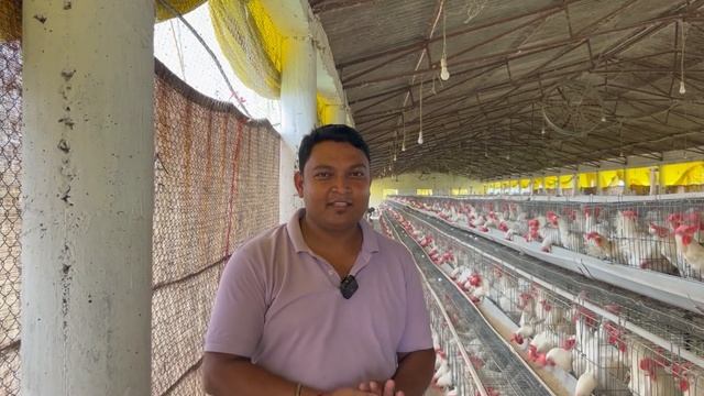 Layer poultry farming subsidy॥Layer Poultry farm business plan॥Poultry business