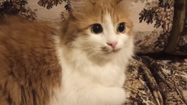 Живут два чужих человека в одной квартире!