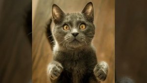 Я пить не брошу...