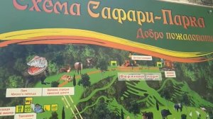 Поездка в Сафари-парк. Прогулка по Геленджику