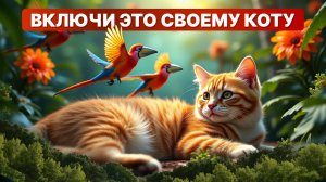 ПТИЧКИ КОТОРЫХ ОБОЖАЕТ ТВОЙ КОТ 🔥 cats tv, мультики для кошек, мультик для котов, кот тв cats game
