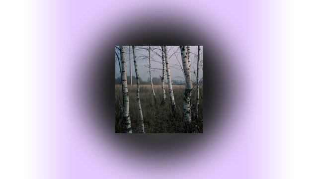 Ваня Дмитриенко — Цветаева (speed up)