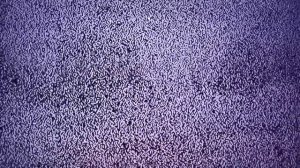 Неизвестный канал на TV-DX