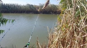 рыбалка на дгк х Лебеди Краснодарский край