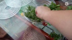 VLOG # 8 Кухонный помощник - дегидратор. Сушим петрушку))