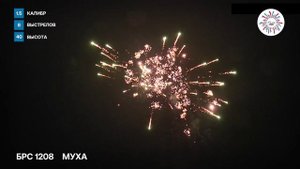 Римская свеча Муха калибр 1,5на 8 залпов высота до 50 метров.