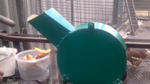 Корморезка в работе.