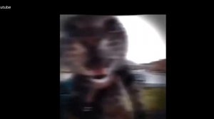 1000009537.mp4