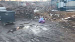 краснодонские озонисты