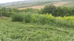 Komatsu zenoah bcz 4500