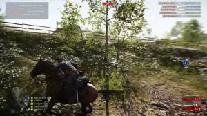 I'm gonna take my horse to the old town road