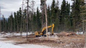 Мульчирование лесопорубочных остатков Сибири Сибири 2.