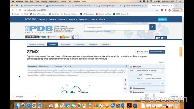 Protein DataBank: Protein 3D-Structure Database