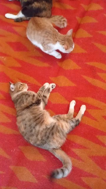 Перерывчик ❤️