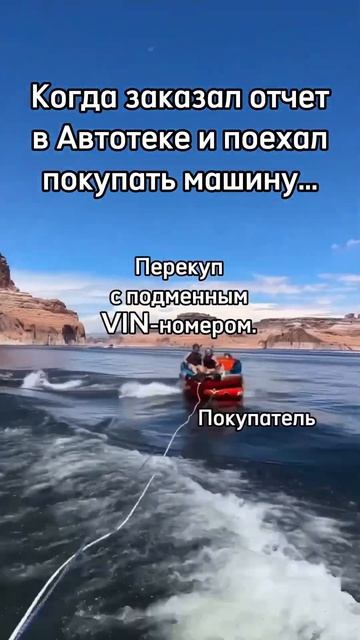 Всегда сверяйте VIN - номер в отчете с тем, который вы видите на реальной машине! #автоподбор смотреть онлайн