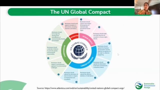 Sustainability Essentials: Sustainable Development goals, UN Global Compact, ESG Basics