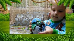 Игрушки динозавры.