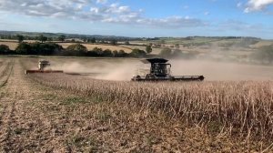 Fendt IDEAL 9 in Beans