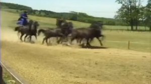 LikePlanet.ru - Золотой Глобус - Венгрия