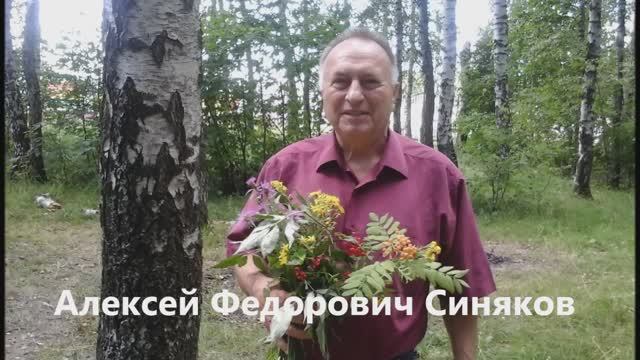 Целебные секреты огурца