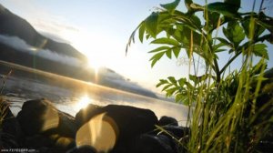 "ЛОВЛЮ КУЗНЕЦА" песня на стихи АлександраФЕФЕЛОВА songдизайн-АлександрФефелов-FEFELOFFcom