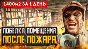 Цех - побелка и покраска - 1400м. г. Рязань - 1 день