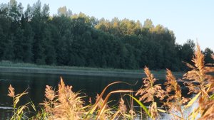 купить участок на берегу первой линии озера Бологое поселок Подлипье