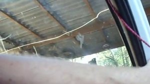 Как заменить стекло в автомобиле самостоятельно