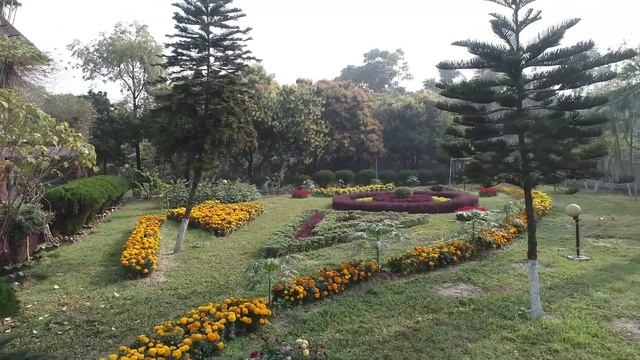 Areal view of Bangladesh Open University смотреть онлайн