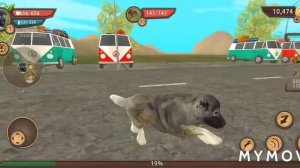 не играи в дог сим в 3 часа ночи