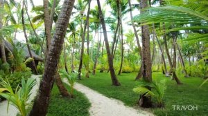 Tropical Island Walk | Ocean Beach Nature | Vacation | Bora Bora, French Polynesia 🇵🇫 | 4K Travel