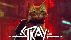 Stray