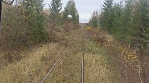 Шортюгская заповедная железная дорога. из кабины машиниста.