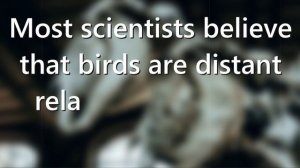 Starlight 8 Module 4F. Back to life.