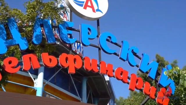 Санатории Адлеркурорта (Коралл, Дельфин, Нептун) Сочи, видео о санаториях смотреть онлайн