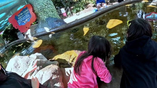 TAKING MY FAMILY ON A VACATION (SEAWORLD) - Family Vlog (Part 2) смотреть онлайн