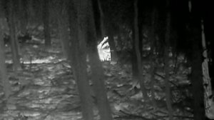 hikmikro thunder Th35